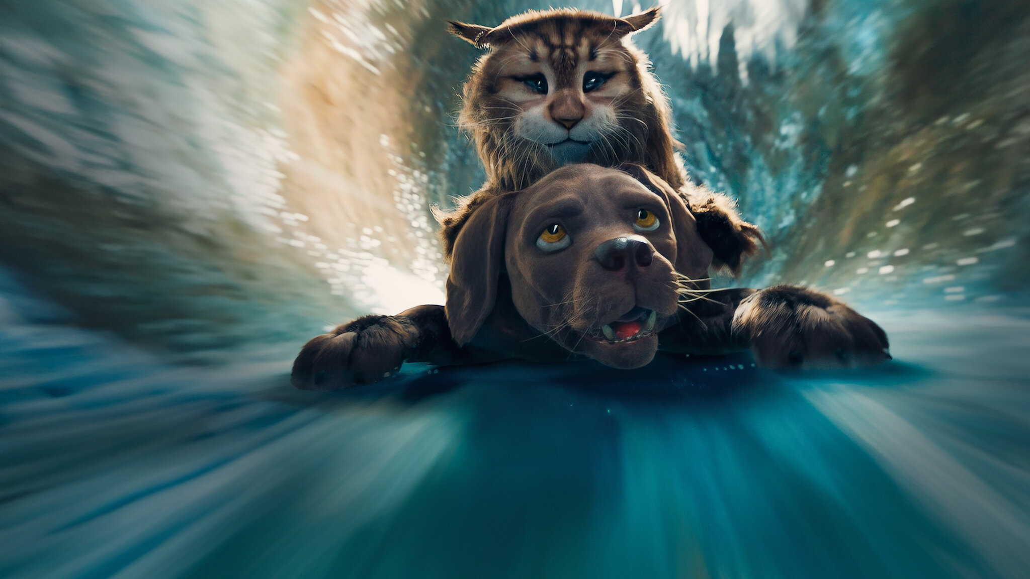 Watch Cat & Dog Netflix